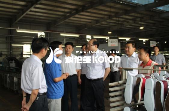 省統(tǒng)計(jì)局領(lǐng)導(dǎo)一行蒞區(qū)參觀調(diào)研企業(yè)發(fā)展情況